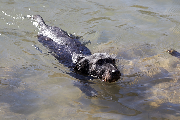 Swimming