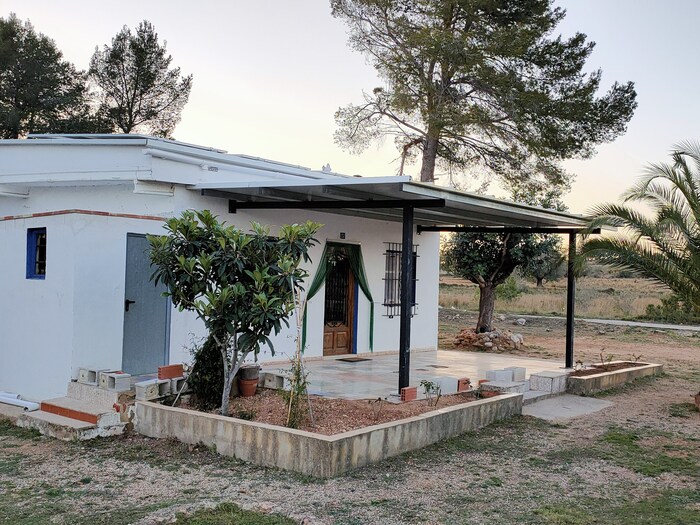 New Patio Roof